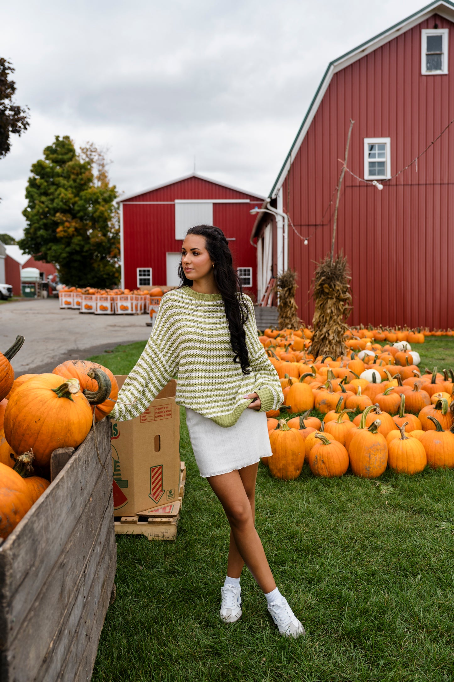 Eden striped knit sweater